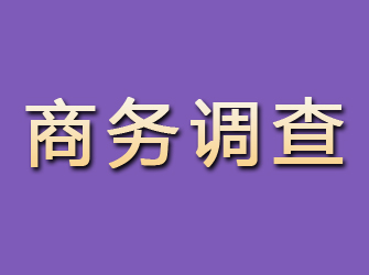 景宁商务调查